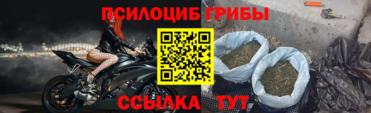 Галлюциногенные грибы GOLDEN TEACHER  Псилоцибиновые грибы MAGIC MUSHROOMS  Вход с VPN  Бийск 